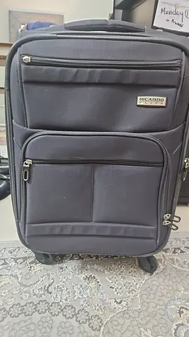 Medium Grey Ricardo soft-sided roller luggage with front pockets