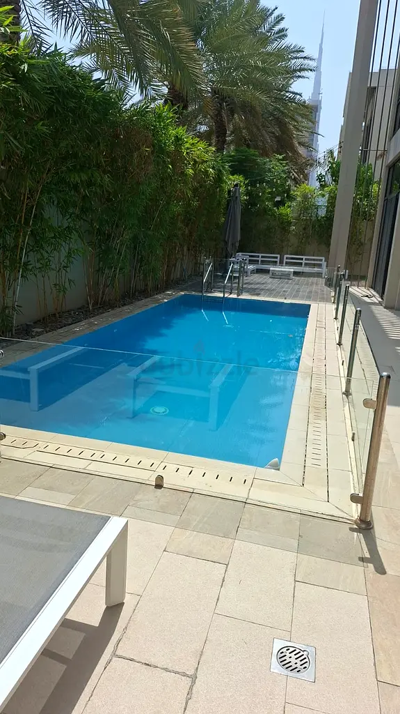 DPV_View_Image_0