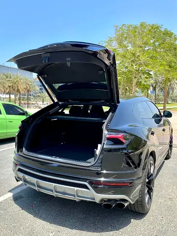 2019 Lamborghini URUS 缩略图 10