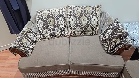 Comfortable 2-seater Sofa Chair with Decorative Cushions