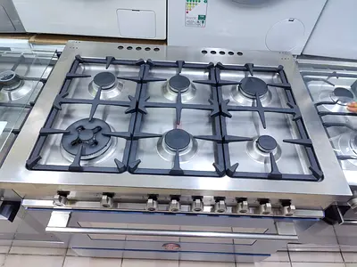 Bertazzoni latest model 5 burner top gass oven electric dual fan cooking range 90x60