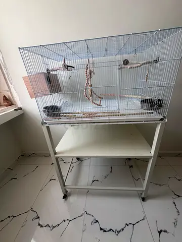 Large bird cage with stand and accessories – good condition