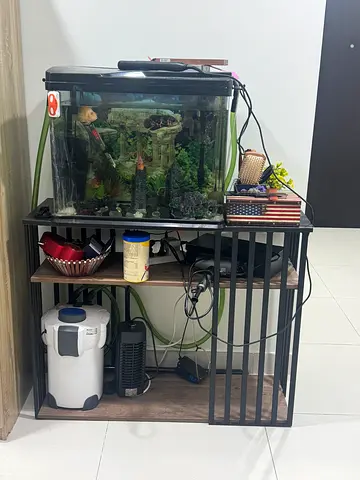 Complete Aquarium Setup with Stand, Filter and Accessories