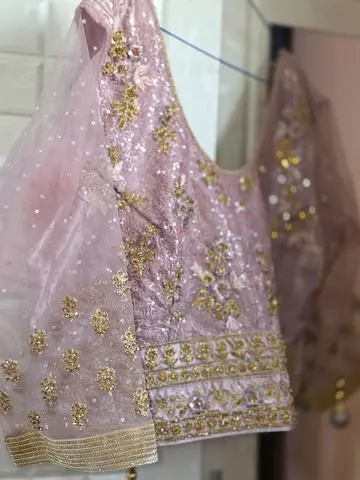 Light Pink Embroidered Women's Blouse / Choli - Good Condition