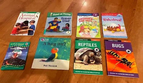Beginning reading books for children