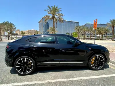 2019 Lamborghini URUS 缩略图 8