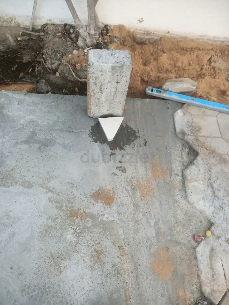 DPV_View_Image_3