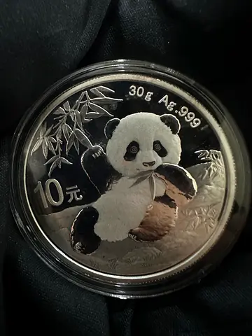 2020 China 30g .999 Silver Panda Bu