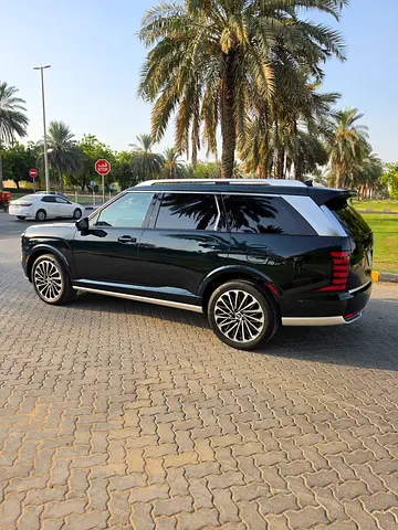 Hyundai Palisade Calligraphy, миниатюра 12