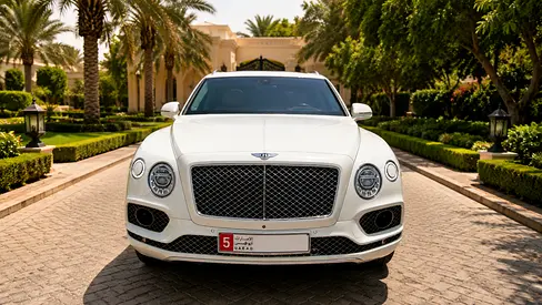 2019 Bentley BENTAYGA 缩略图 20