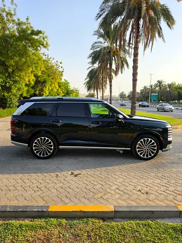 Hyundai Palisade Calligraphy, миниатюра 3
