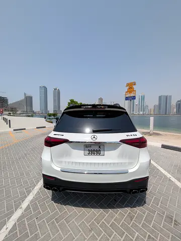 2023 Mercedes-BENZ GLE 照片 4