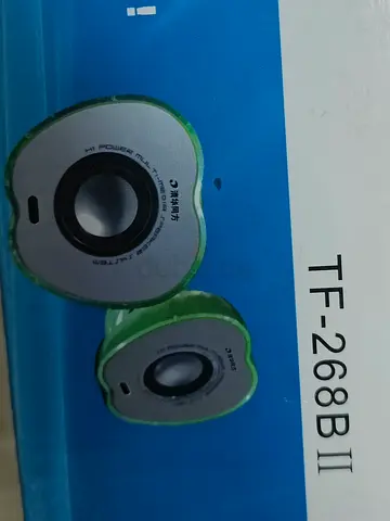 Computer Speakers