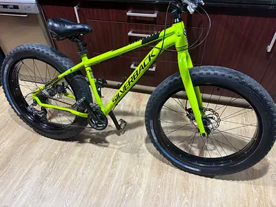 Silver back fat bike