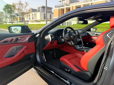 2020 BMW M8 照片 7