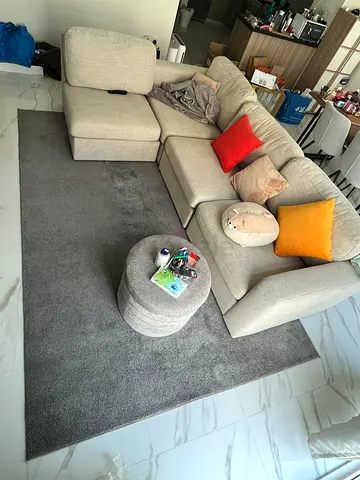 Large Grey Rug (200cm x 300cm) — Good condition