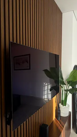 55 inch OLED Full HD
