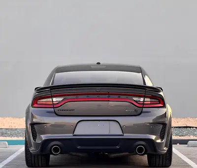 2022 Dodge CHARGER 照片 6