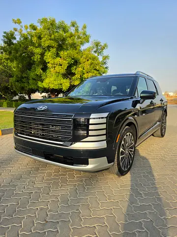 Hyundai Palisade Calligraphy, миниатюра 20
