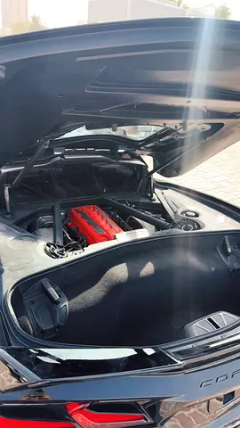 2020 Chevrolet CORVETTE — фото 9