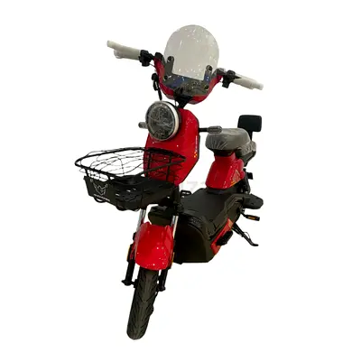 Wind Horse Electric Scooter 500W 45KM Range 40KM Speed, M6