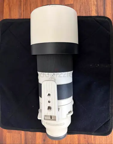 Sony FE 200-600mm F5.6-6.3 + Lowepro ProTactic BP450 AW II backpack — combo