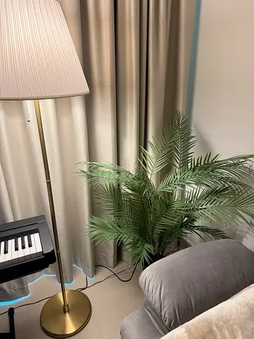 Selling an IKEA FEJKA artificial palm for AED 20