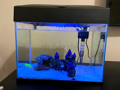 Used 20L Fish Aquarium Tank with LED Hood, Filter and Gravel