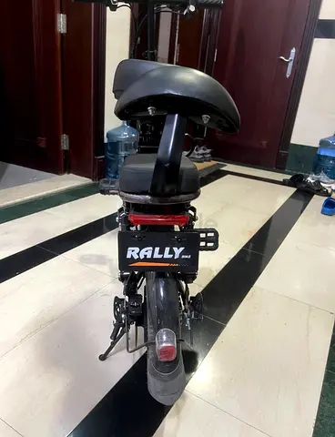 Compact Rally electric scooter - foldable, dual rider, with pedals