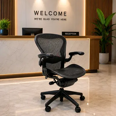 Herman Miller Ergonomic Black Mesh Office Chair with Adjustable Armrests