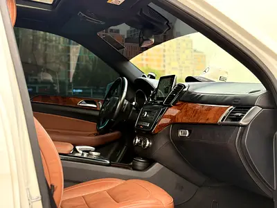 صورة 12 لـ 2016 Mercedes-BENZ GLE