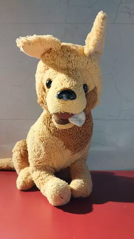 Stuffed Dog Toy for Sale