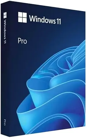 Windows 11 Pro