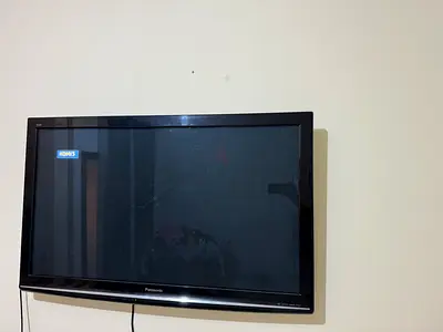 55 inch Wall-Mounted Flat Panel TV - Good Working Condition