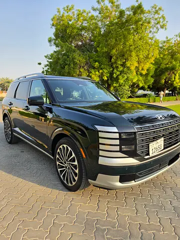 Hyundai Palisade Calligraphy, миниатюра 6