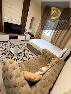 Welcome to Dana Golden Hoodie Homes Real Estate LLC Payment Details:2898 studio