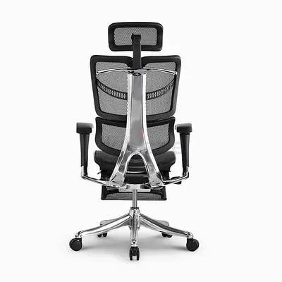 Fly Unique Design Luxury Ergonomic Executive Chair With Lumbar Support