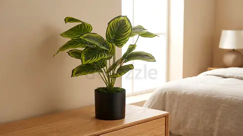 18 Leaves - Lines Monstera
