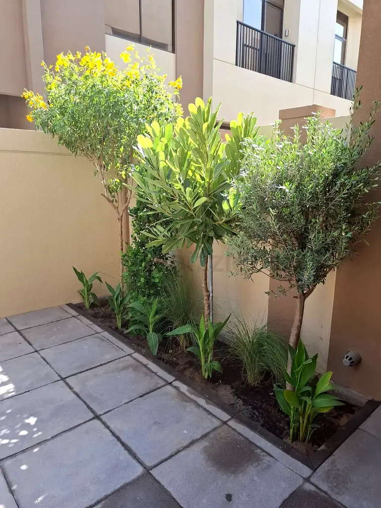DPV_View_Image_2