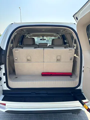 2021 Toyota PRADO 照片 14