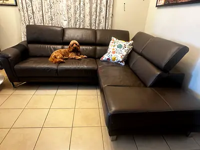 Dark brown leather L-shaped corner sofa - good condition, Koala Living, original price 10k - cheap