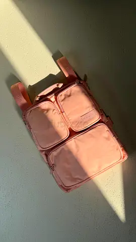 Rimowa cabin bag cover
