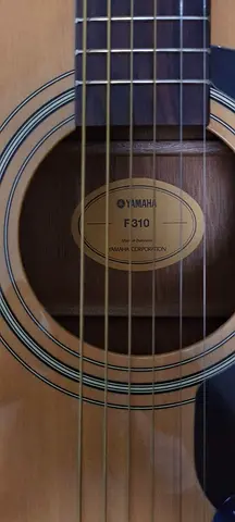 Guitar