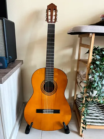 Acoustic Guitar with Glossy Wood Finish along with stand