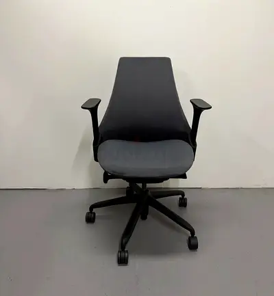 Herman Miller sayl chair