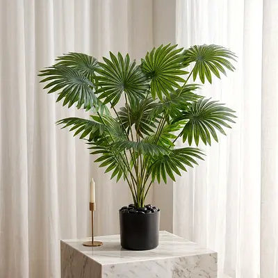 18 Leaves - Fan Palm