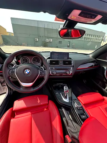 2015 BMW 2-SERIES 照片 8