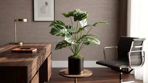 18 Leaves - Hollow Monstera