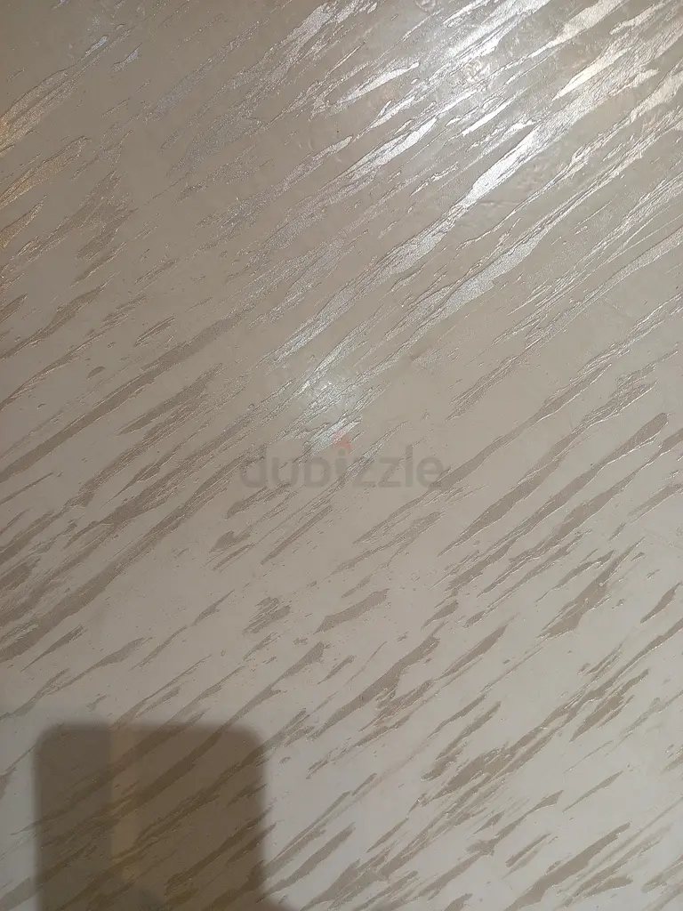 DPV_View_Image_0