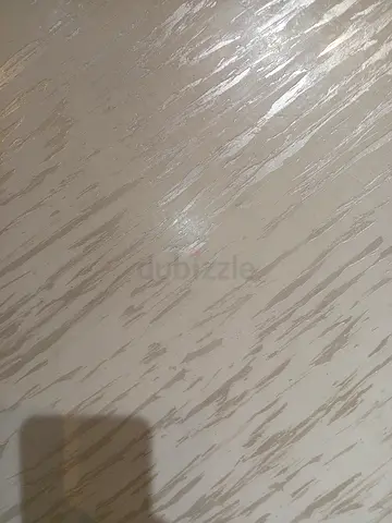 الشارقة